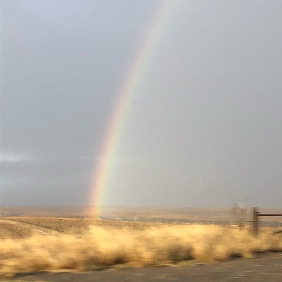 Meet your Posher, Kevin - Picture 1 of 1